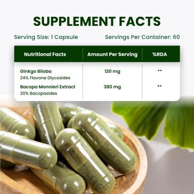 Vlado's Himalayan Organics: Ginkgo Biloba for Healthy Brain Functions | 500Mg | 60 Veg Capsules