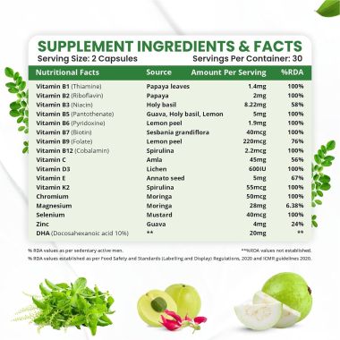Vlado's Himalayan Organics: Vegan Omega-3 Capsules with Multivitamin, EPA, DHA, B1,B2,B3,B5,B7,B9,B9,B12,C,D3,K2, 25+ Ingredients for Energy, Immunity, Heart, Bone & Joints Support - 60 veg capsules