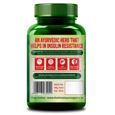 Vlado's Himalayan Organics: Berberis Aristata Berberine 95% with Milk Thistle for 2X Liver Support - 60 Veg Capsules