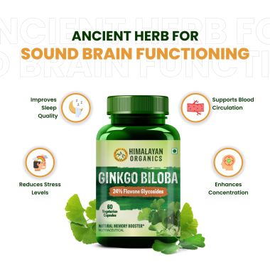 Vlado's Himalayan Organics: Ginkgo Biloba for Healthy Brain Functions | 500Mg | 60 Veg Capsules