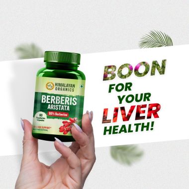 Vlado's Himalayan Organics: Berberis Aristata Berberine 95% with Milk Thistle for 2X Liver Support - 60 Veg Capsules