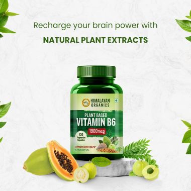 Vlado's Himalayan Organics: Plant-Based Vitamin B6 | Supports Immunity, Brain Health (120 Capsules)