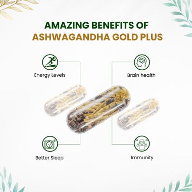 Vlado's Himalayan Organics: KSM - 66 Ashwagandha 1000Mg I KSM-66 I Boost Energy, Strength, Stamina | Helps Anxiety & Stress Relief For Men & Women (60 Capsules)