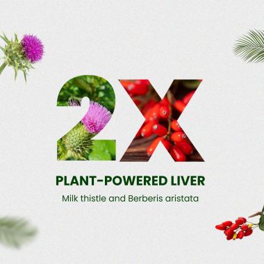 Vlado's Himalayan Organics: Berberis Aristata Berberine 95% with Milk Thistle for 2X Liver Support - 60 Veg Capsules
