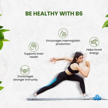 Vlado's Himalayan Organics: Plant-Based Vitamin B6 | Supports Immunity, Brain Health (120 Capsules)