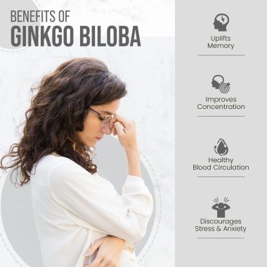 Vlado's Himalayan Organics: Ginkgo Biloba for Healthy Brain Functions | 500Mg | 60 Veg Capsules