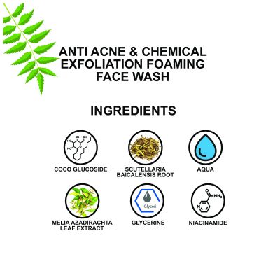 Love Earth: Anti Acne & Chemical Exfoliation Foaming Face Wash- 100ml