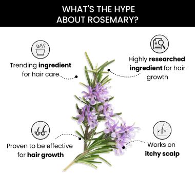 Thriveco: Rosemary Essential Oil, 15ml