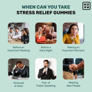 What's Up Wellness: tress Relief Gummies with Chamomile, Passion Flower, L-theanine, Sage & Holy Basil - Pack of 1 - 30 Gummies
