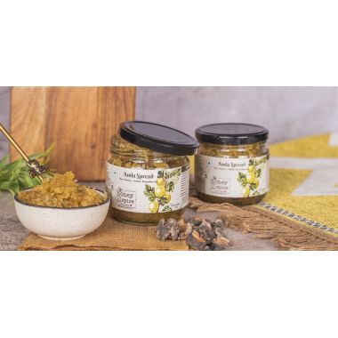 Honey and Spice: Amla Spread 350gm
