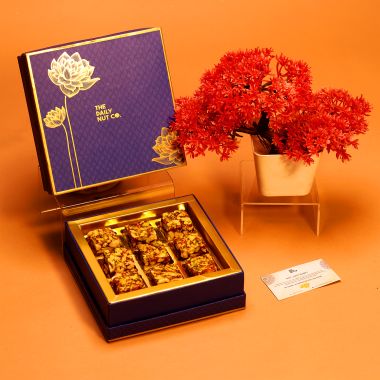 The Daily Nut Co.: NOT JUST BARFI