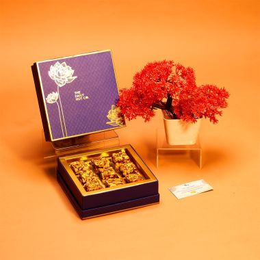 The Daily Nut Co.: NOT JUST BARFI