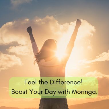 Pure Nutrition: 100% Natural Moringa (1200mg) | 120 Veg Tablets