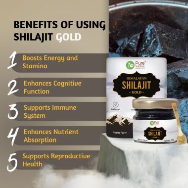 Pure Nutrition: Shilajit Gold Resin 20g