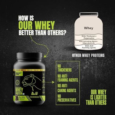 Beastlife: Isorich Blend Whey Protein with Ultrasorb Tech  | 924G