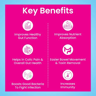Dr. Morepen: INTEBACT INSTA 2BN CFU | Probiotics Supplement for Gut Health, Vanilla flavour - 6 Sachets - Pack of 2