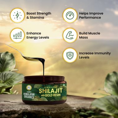 Vlado's Himalayan Organics: Shilajit Gold Resin - 25g | Contains 24 Carat Gold | 100% Ayurvedic | Pure and Natural Shilajeet | Helps to Boost Immunity, Energy, Strength, Stamina, and Overall Health - 25G