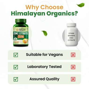 Vlado's Himalayan Organics: Zinc Citrate | Support Healthy Immune Function | Improve Iron Absorption | Antioxidant Support - 120 Veg Capsules