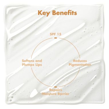 Conscious Chemist: Multi Peptide & Shea Butter Infused Lip balm With SPF 15 :- Vanilla (15g)