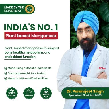 Vlado's Himalayan Organics: Plant Based Manganese 4mg Supplement | Trace Mineral Supplement for Connective Tissue and Bones | Good For Skeletal Health Support - 120 Veg Capsules
