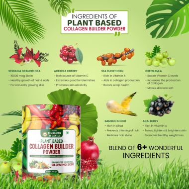 Vlado's Himalayan Organics: Plant Based Collagen Builder Powder for Skin Regeneration, Anti-Aging Beauty & Repair (with Sea Buckthorn,Evening Primrose, Acai Berry)  250gm