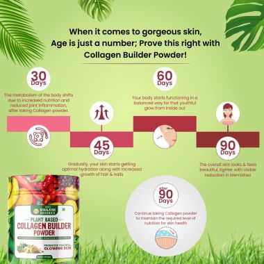 Vlado's Himalayan Organics: Plant Based Collagen Builder Powder for Skin Regeneration, Anti-Aging Beauty & Repair (with Sea Buckthorn,Evening Primrose, Acai Berry)  250gm