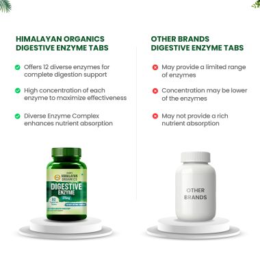 Vlado's Himalayan Organics: Digestive Enzyme for Healthy Digestion- 90 Veg Tablets