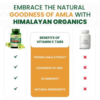 Vlado's Himalayan Organics: Vitamin C 1000mg Tablets from Amla Extracts | Immunity, Antioxidant & Skin Care | 120 Veg Tablets