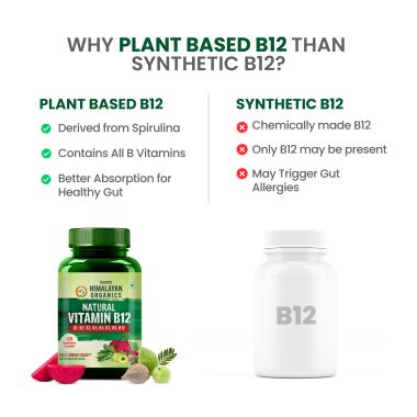 Vlado's Himalayan Organics: Plant Based Vitamin B12 Natural- 120 Veg Capsules
