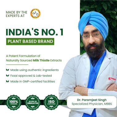 Vlado's Himalayan Organics: Vlado's Himalayan Organics Milk Thistle Extract Silymarin 800mg/Serve-120 Veg Capsules