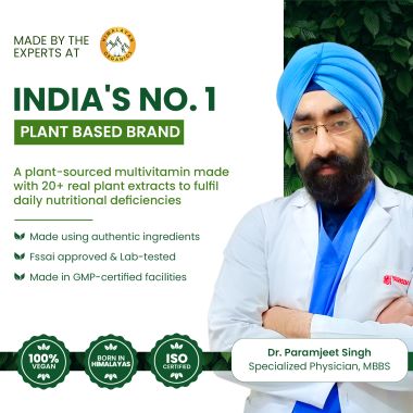Vlado's Himalayan Organics: Plant Based Multivitamin with 60+ Extracts- 60 Vegetarian Capsules
