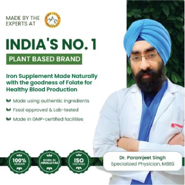 Vlado's Himalayan Organics: Plant Based Iron Supplement with Folate | Blood Builder | Whole Food | 90 Veg Capsules