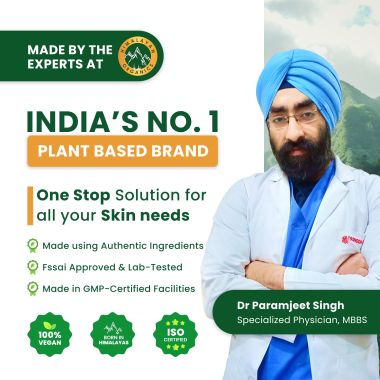 Vlado's Himalayan Organics: Vlado's Himalayan Organics Plant Based Collagen Builder for Hair and Skin with Biotin and Vitamin C - 90 Veg Capsules