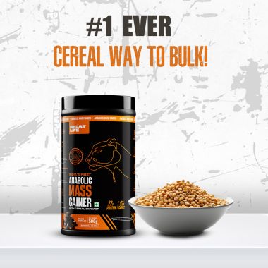 Beastlife: High Protein Gainer - No Maltodextrin Weight Gainers/Mass Gainers  (500 g, Belgian Chocolate)