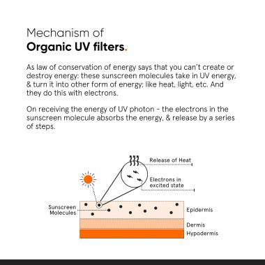 Minimalist: Light Fluid SPF 50 Face Sunscreen50ml