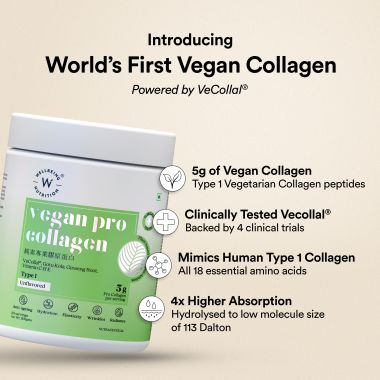 Wellbeing Nutrition: Vegan Pro Collagen | Clinically Proven Plant Based Collagen Peptides Gotu kola, Ginseng, Vitamin C & E | Anti-wrinkle, Skin Elasticity, Hydration, Hair & Nail Growth | Unflavored