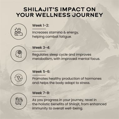 Wellbeing Nutrition: Pure & Original Himalayan Shilajit Resin 10g for Strength, Stamina & Performance | Lab Tested