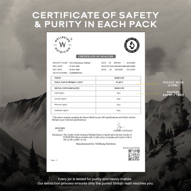 Wellbeing Nutrition: Pure & Original Himalayan Shilajit Resin 10g for Strength, Stamina & Performance | Lab Tested