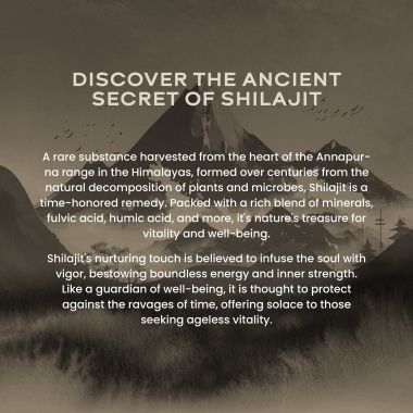 Wellbeing Nutrition: Pure & Original Himalayan Shilajit Resin 10g for Strength, Stamina & Performance | Lab Tested