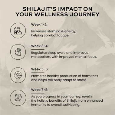 Wellbeing Nutrition: Pure Himalayan Shilajit Gold 10 gm for Strength, Stamina, Performance, Stress Relief and Vitality (24K Gold Leaf) | Lab Tested
