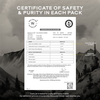 Wellbeing Nutrition: Pure Himalayan Shilajit Gold 10 gm for Strength, Stamina, Performance, Stress Relief and Vitality (24K Gold Leaf) | Lab Tested