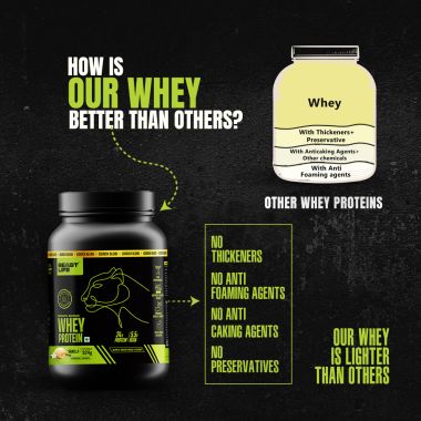 Beastlife: Isorich Blend Whey Protein Isolate + Concentrate With Ultrasorb Tech (924 g, Vanilla)