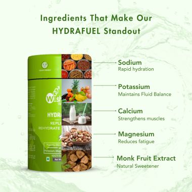 Wishnew Wellness: HYDRAFUEL Lemon & Lime Flavor | Instant Drink Mix | 20 Servings | Replenish, Rehydrate & Energize | 100% Vegetarian