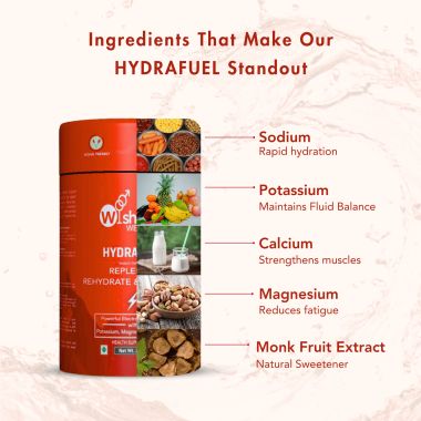 Wishnew Wellness: HYDRAFUEL Tangy Orange Flavor | Instant Drink Mix | 20 Servings | Replenish, Rehydrate & Energize | 100% Vegetarian