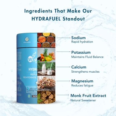 Wishnew Wellness: HYDRAFUEL Blueberry Flavor | Instant Drink Mix | 20 Servings | Replenish, Rehydrate & Energize | 100% Vegetarian