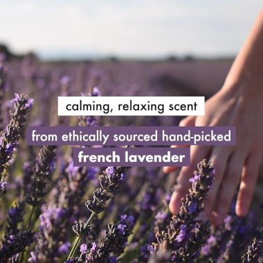 Love Beauty And Planet: Argan Oil and Lavender Sulfate Free Smooth and Serene Shampoo|| No Parabens|| No Dyes|| 200ml