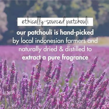 Love Beauty And Planet: Onion Oil|| Blackseed Oil & Patchouli Hairfall Control Conditioner|| No Parabens|| No Dyes Patchouli Essential Oil, 200 Millilitre