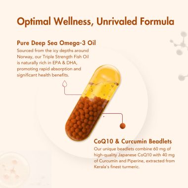 Wishnew Wellness: DAILY RITUAL | Triple Strength Fish Oil with Omega-3s & CoQ-10 | 60 Liquid Fill Capsules