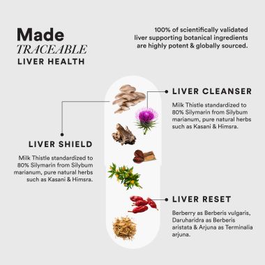 Wellbeing Nutrition: Slow Liver Health | High Strength Milk Thistle - 60 Capsules