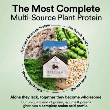 Wellbeing Nutrition: Special Offer -Superfood Plant Protein - Dark Chocolate Hazelnut - 500 gm